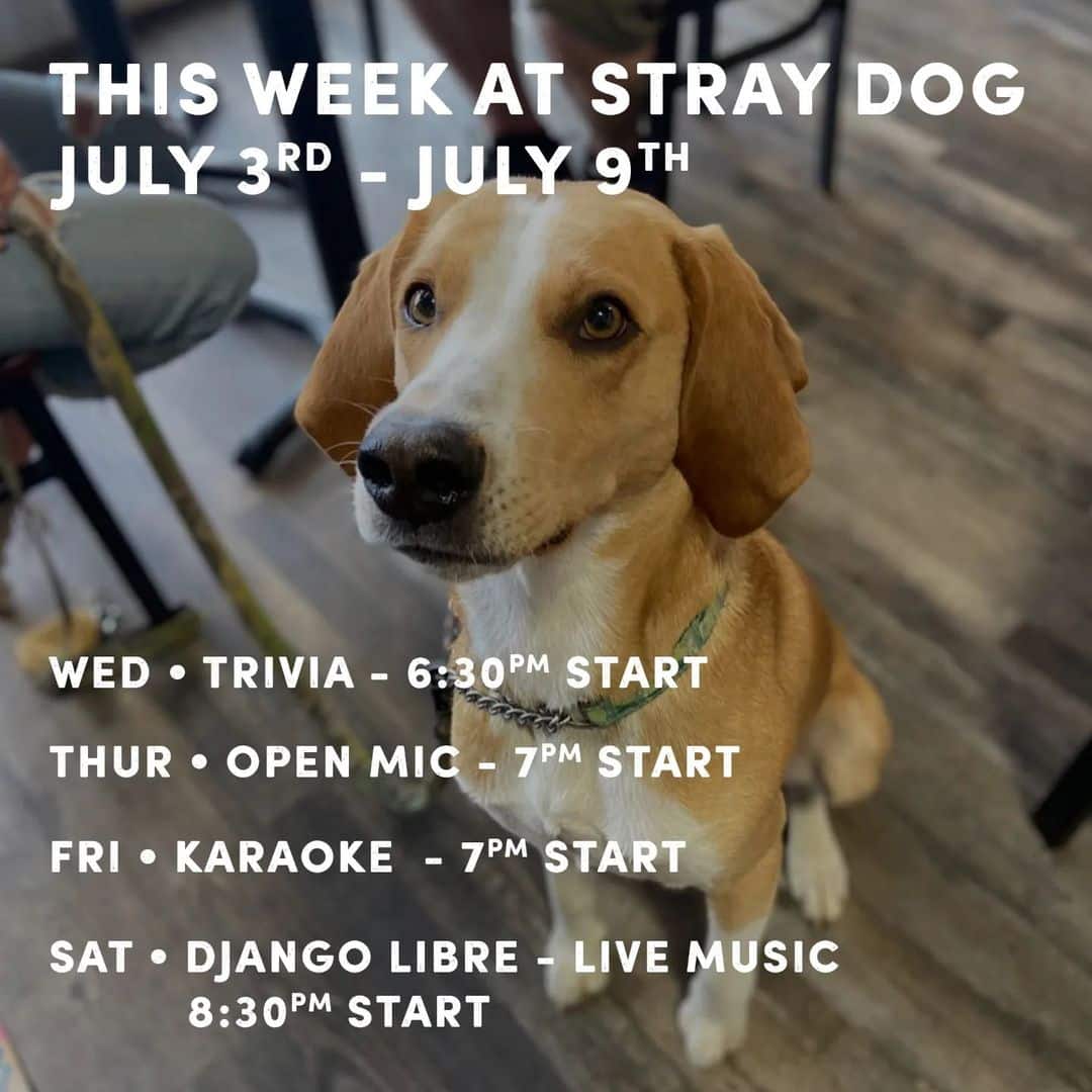 Stray Dog week